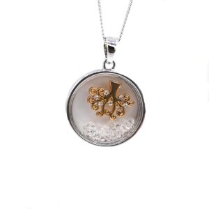 Matisse Crystal Locket 20061