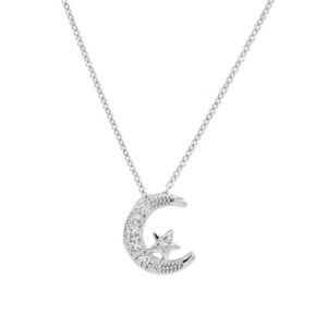 Matisse Silver Necklace 20488