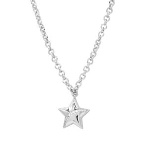 Matisse Silver Necklace 20497