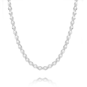 Matisse Silver Necklace 20781