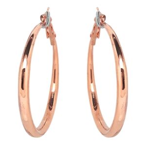 Matisse Earrings 23806