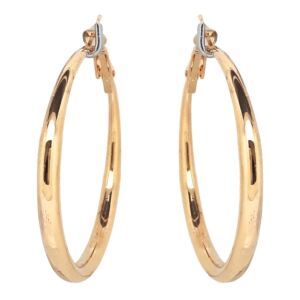Matisse Earrings 23808
