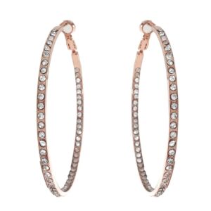 Matisse Earrings 23836