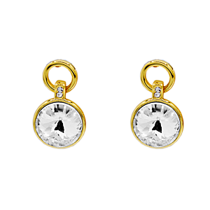 Matisse Yellow Gold Earrings 24158