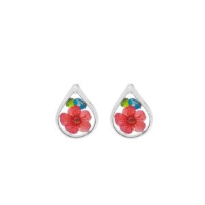 Matisse Silver Earrings 24165