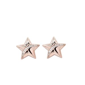 Matisse Rose Gold Earrings 24170