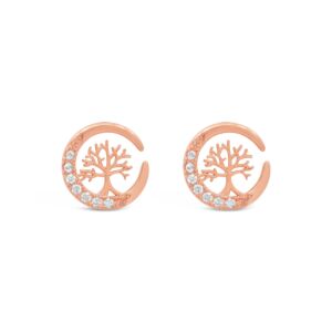 Matisse Rose Gold Earrings 24419