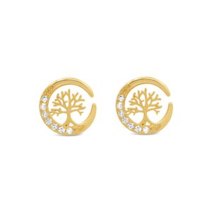 Matisse Yellow Gold Earrings 24420