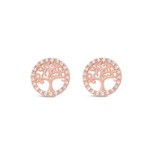 Matisse Rose Gold Earrings 24443