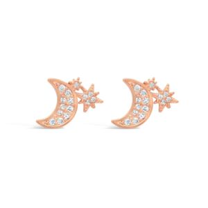 Matisse Rose Gold Earrings 24458