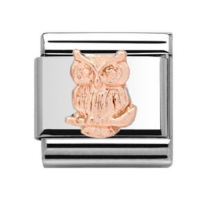 Charmlinks Owl Silver Rose Gold Charm 29519RS