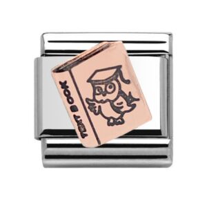 Charmlinks Book Silver Rose Gold Charm 29542RS
