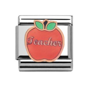 Charmlinks Teacher Silver Rose Gold Charm 29105rS