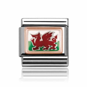 Rose Gold on Silver Wales Charm 29270rs