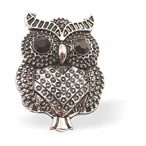 Sparkly, Beautiful Wise Owl Brooch, Rhodium Plated K738